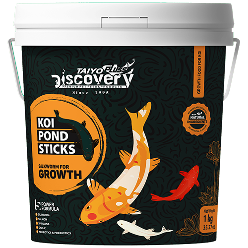 koi-pond-sticks-colour