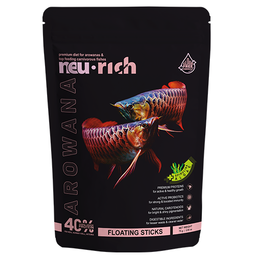 neu-rich-arowana