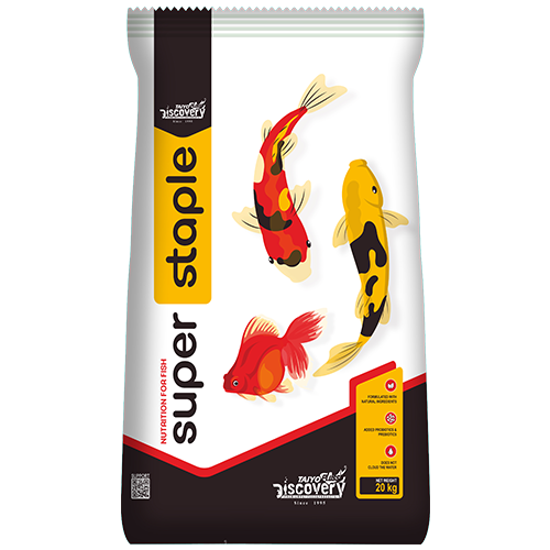 super-staple-economy-fish-food