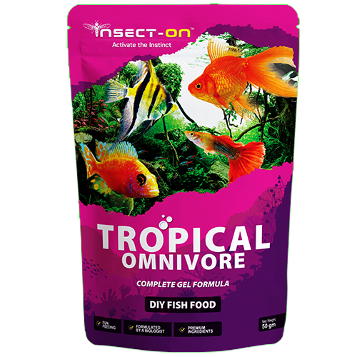 ynsect-on-gel-fish-food