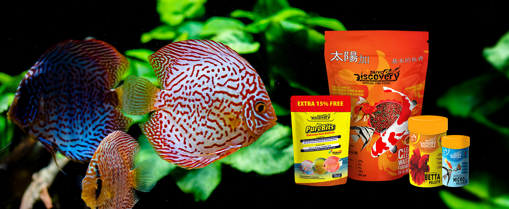 taiyo-pluss-discovery-pet-Fish-food